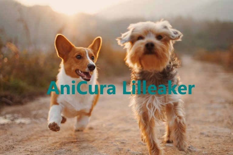 AniCura Lilleaker 768x512