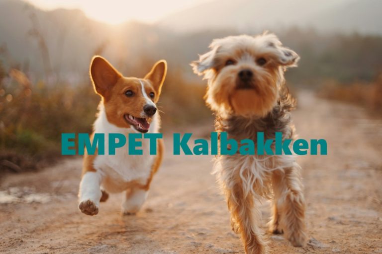 EMPET Kalbakken 768x512