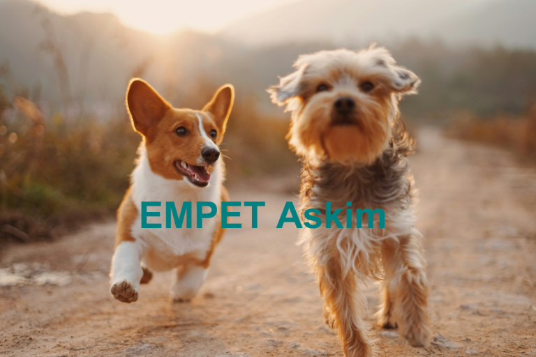 EMPET Askim Dyreklinikk 1 768x512