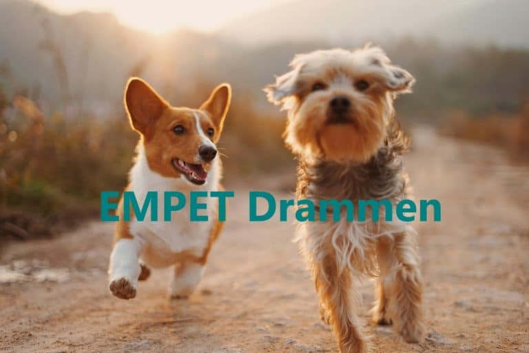 EMPET Drammen 1 768x512