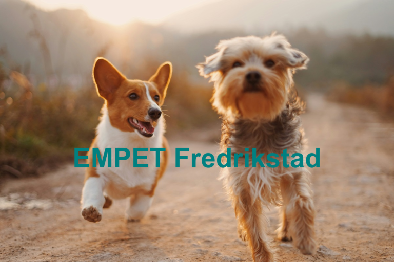 EMPET Dyreklinikk Fredrikstad 1 768x512