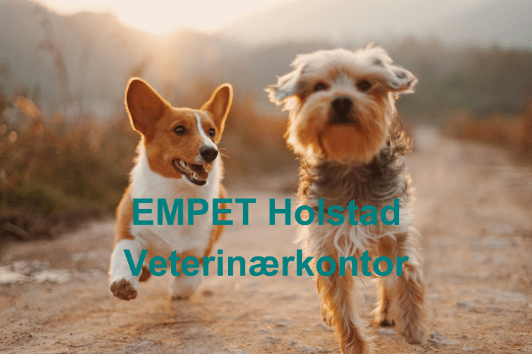 EMPET Holstad Veterinaerkontor 768x512