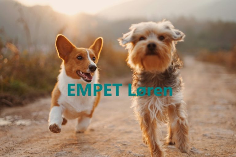 EMPET Loren 768x512
