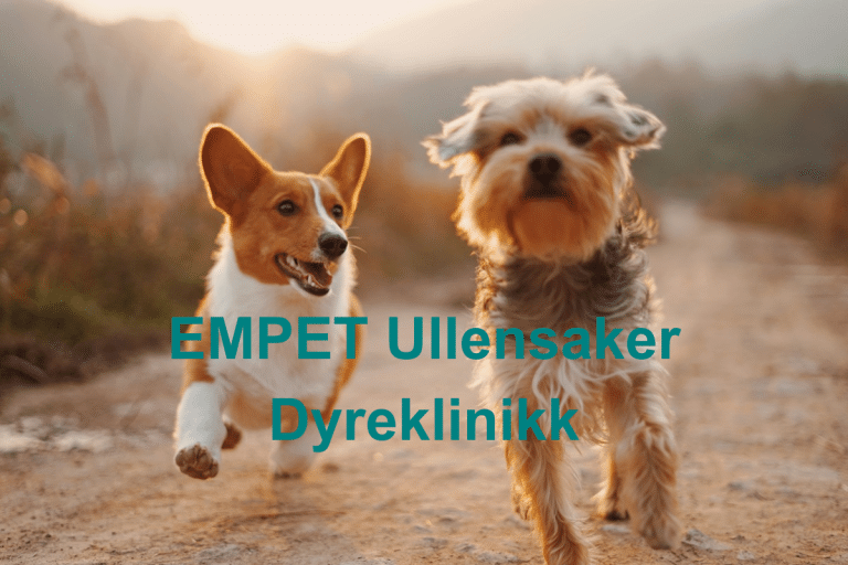 EMPET Ullensaker Dyreklinikk 768x512
