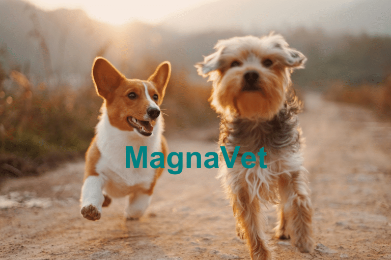 MagnaVet 768x512