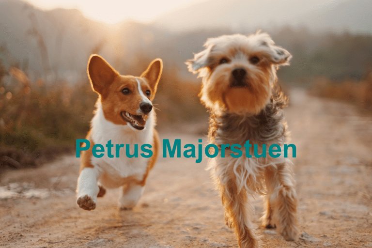 Petrus Majorstuen 768x512
