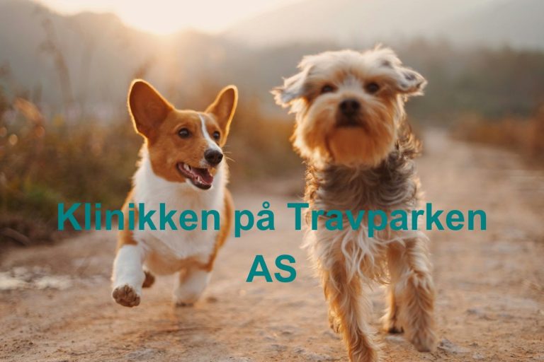 Klinikken pa Travparken AS 768x512