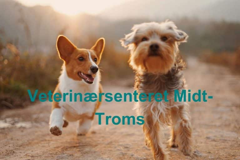 Veterinaersenteret Midt Troms 768x512